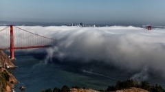 SF fog