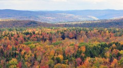 vermont fall