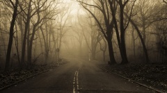 empty road