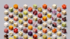 fruit cubes
