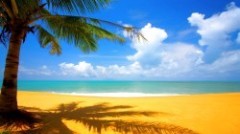 beach