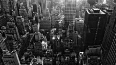 new york city madness