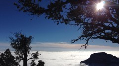 river of fog